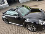 Volkswagen New Beetle 1.2 TSI BMT ALLSTAR Cabriolet  - schwarze Volkswagen New Beetle
