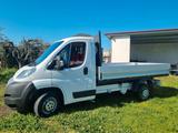 Fiat Ducato 35 2.3 MJT 130CV - gebrauchte Fiat Ducato aus dem Jahr 2013