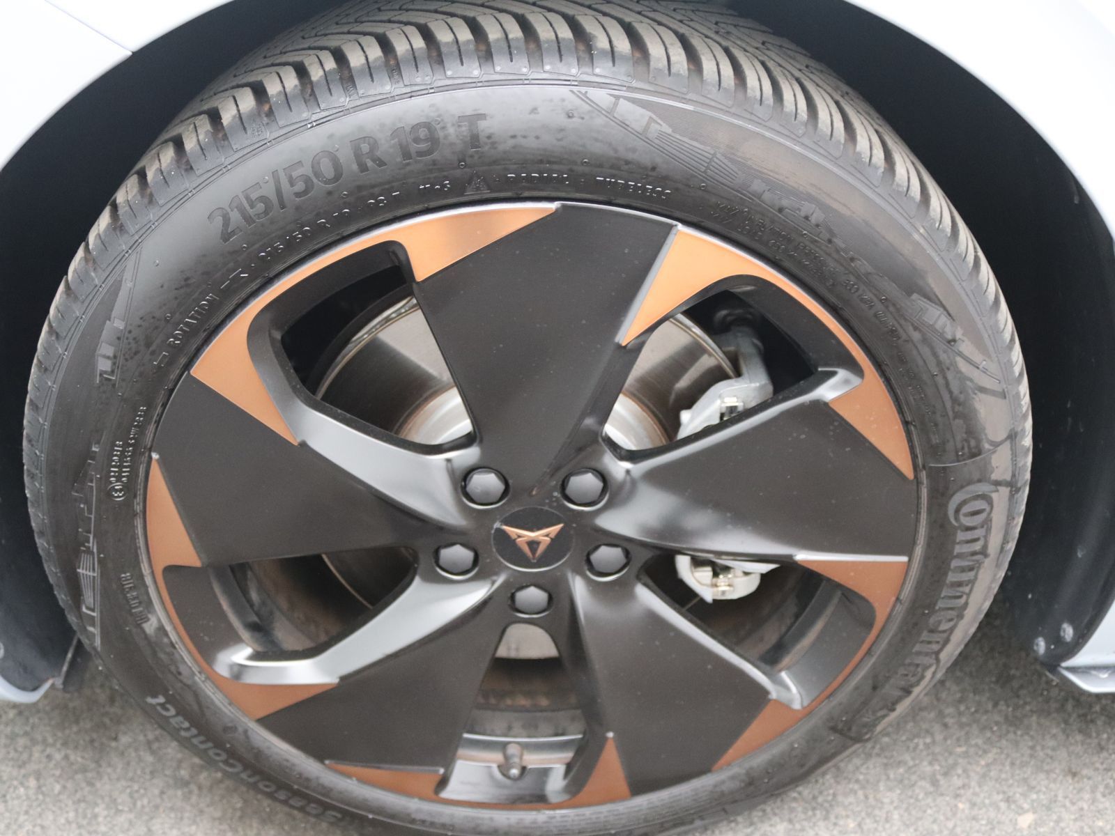 Cupra Born - Bild 17
