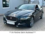 Jaguar XE R-Sport Lim.Automatik*1.HAND-LEDER-KAMERA-LED - Jaguar XE in Dortmund