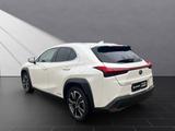 Lexus UX 250h*STYLE.*1HD*SHZ*NAVI*CARPLAY* - Lexus aus 2021