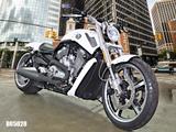 Harley-Davidson VRSCF V-ROD MUSCLE *5HD1/280er/Jekill+Hyde/1.HD* - HARLEY-DAVIDSON V ROD MUSCLE