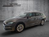 Skoda Octavia Combi Selection 1.5 TSI MHEV DSG - Skoda Octavia Tageszulassungen mit Benzin-Antrieb: Kombi