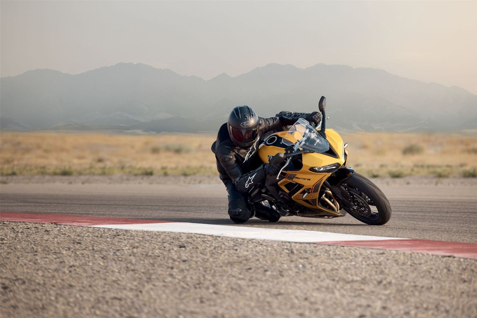 Fahrzeugabbildung Triumph Daytona 660