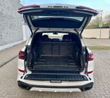 BMW X5 G05 xDrive30d - M-Sport  - BMW X5 mit Diesel-Antrieb: 3.0