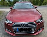 Audi A4 40 TFSI S tronic -2.0 - Audi A4: Rot