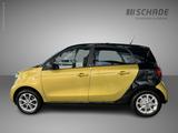 Smart smart forfour 66 kW turbo twinamic passion Pano* - gebrauchte Smart ForFour aus dem Jahr 2019