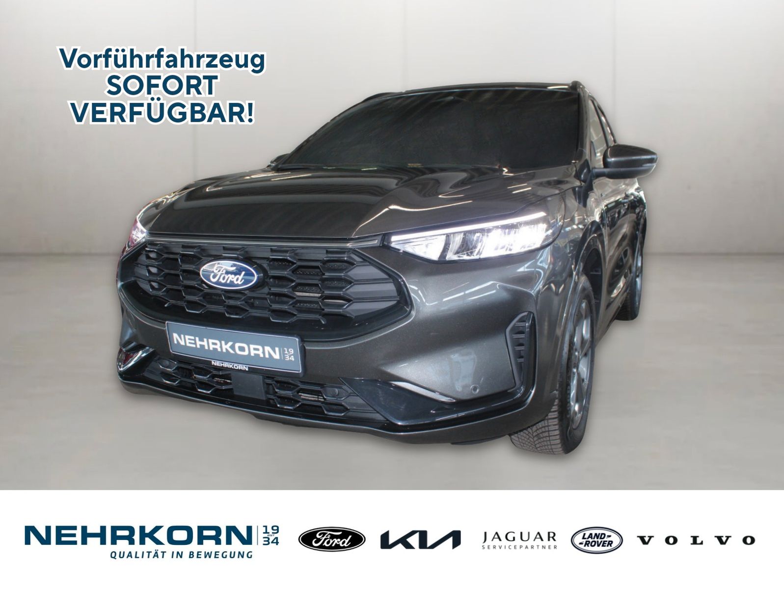 Fahrzeugabbildung Ford Kuga PHEV ST-Line GJR LED Cam WinterPaket uvm