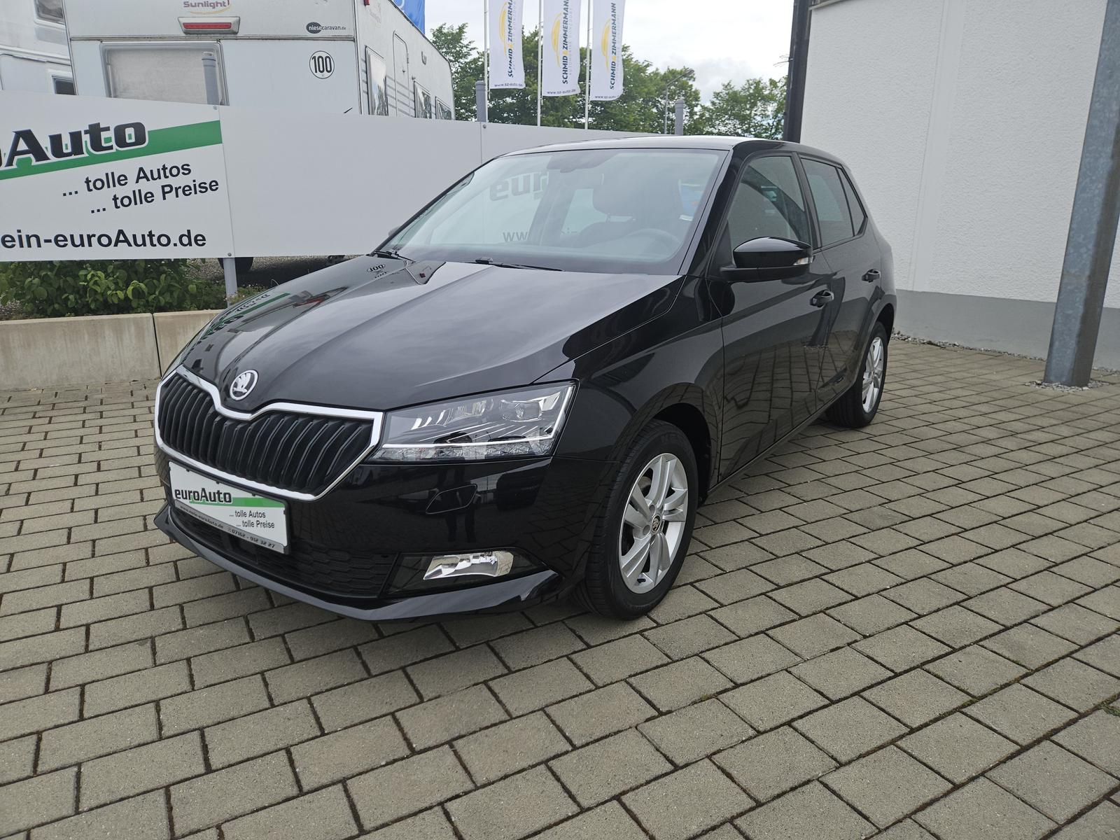Skoda Fabia Style 1.0 TSi App-Connect PDC Kamera 