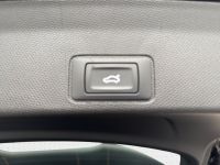 Cupra Terramar - Vorschau Bild 12