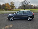 Audi A3 2.0 TDI 125kW 8P quattro Allrad S lineAHK TÜV - Audi: 12