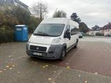 Fiat Ducato Lang/Hoch 9 Sitzer/ 4 Rollstuh... - Fiat Ducato aus 2011: Van