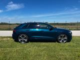 Audi Q8 50 TDI quattro tiptronic - - blaue Audi Q8