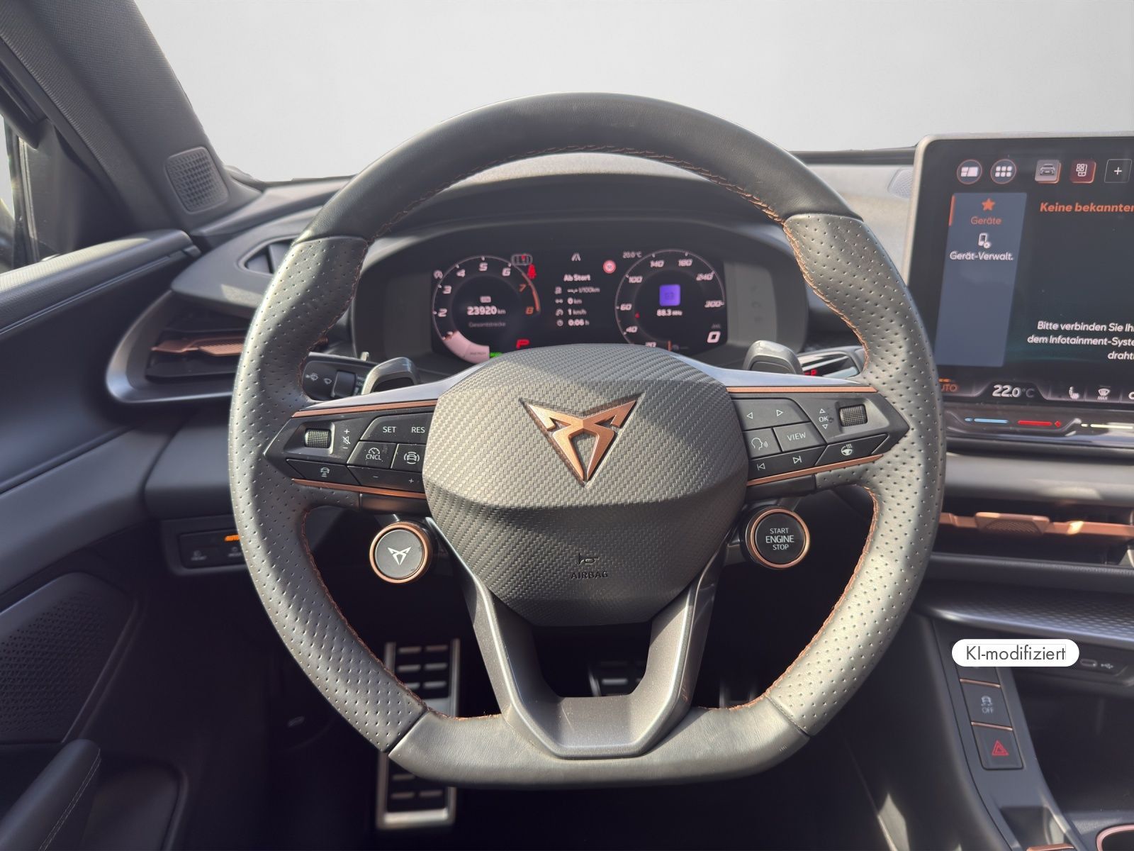 Cupra Terramar - Bild 9