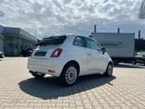 Fiat 500C Cabrio Lounge 1.2 8V Klima Alu PDC Car Play - Fiat 500C mit Benzin-Antrieb: Cabrio, 8v Lounge