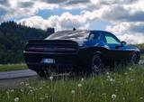 Dodge Challenger 6.4 Scat Pack 2018 - gebrauchte Dodge Challenger aus dem Jahr 2018