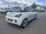 Opel Adam Jam Pano / 8 X Bereift / TÜV 01-27 / - : Weiß, Panorama-Dach, Kleinwagen