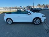 Volkswagen VW Golf 6 Cabrio 15000 km, 1. Hand - Volkswagen: 1500