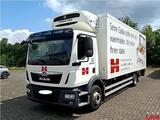 MAN TGM 15.290 ThermoKing LBW - MAN Tgm 15