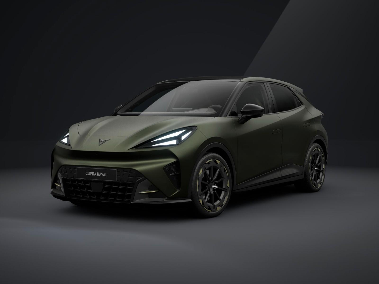 Cupra Raval VZ Extreme +AHK+PANO+WÄRMEPUMPE