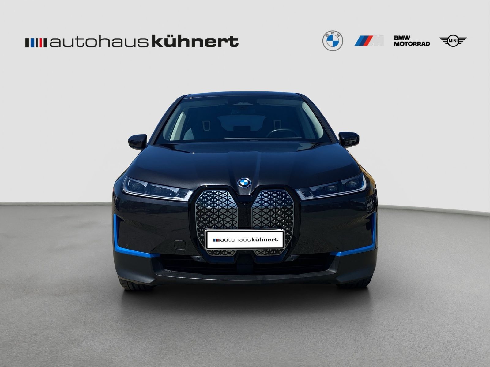 BMW iX xDrive40 Laser SpurAss StHzg 360° AHK Navi foto 3