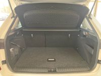 Skoda Kamiq - Vorschau Bild 8