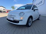 Fiat Panda Lounge - gebrauchte Fiat Panda aus dem Jahr 2014