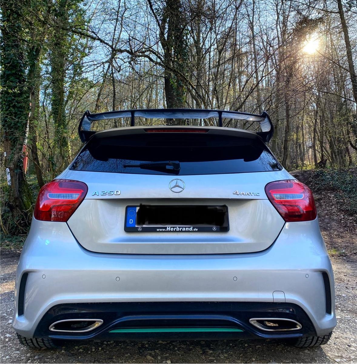 Mercedes-Benz A250 4MATIC Petronas Motorsport Edition