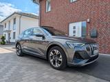 Audi e-tron 50 quattro S line  AHK Pano Leder  B&O