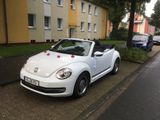 Volkswagen Beetle 1.2 TSI BMT CUP Cabriolet CUP - Volkswagen Beetle in Dortmund