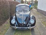 Volkswagen 1955er VW Käfer Ovali - Volkswagen Käfer mit Benzin-Antrieb: Ovali