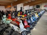 Vespa Sprint 50 Racing Sixties - neu - grün - VESPA SPRINT 50 RACING SIXTIES