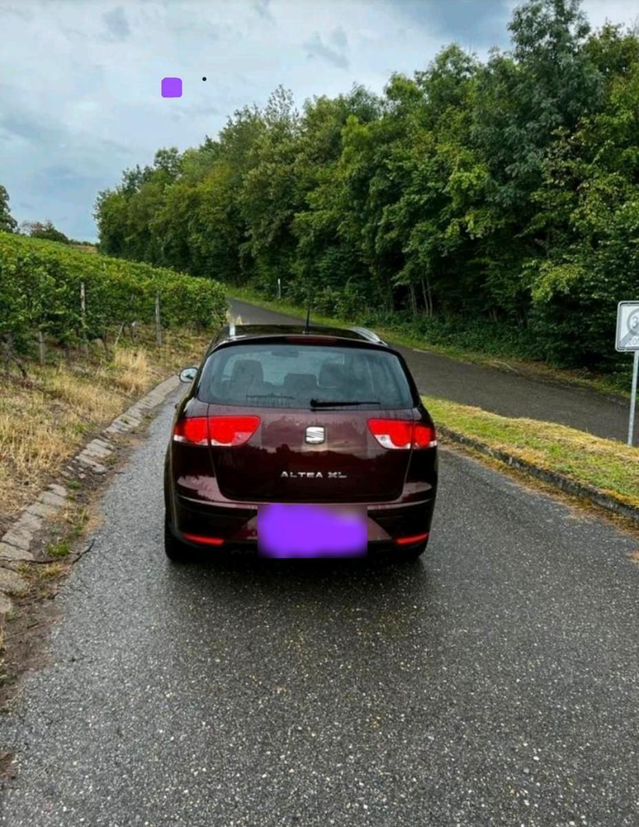 Seat Altea XL 2010 — rear view