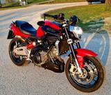 Aprilia Shiver 750, Unfallfrei - APRILIA SHIVER 750