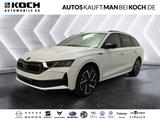 Skoda Octavia Combi Sportl.2.0 TDI DSG AHZV STDHZ PANO - Skoda Octavia Neuwagen in Berlin