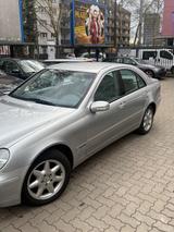 Mercedes-Benz C 240 4MATIC ELEGANCE Elegance - Mercedes-Benz C 240 mit Benzin-Antrieb