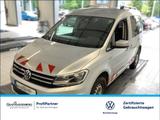 Volkswagen Caddy 2.0 TDI Comfortline Einparkhilfe Navi - VW Caddy Gebrauchtwagen in Karlsruhe