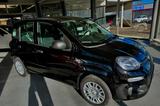 Fiat Panda Pandina HYBRID GSE - Fiat New Panda Gebrauchtwagen