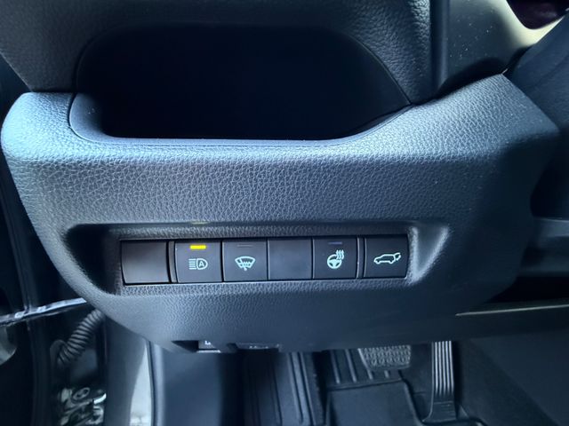 Toyota RAV 4  Hybrid x2 Team Deutschland