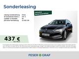 Skoda Superb Combi Amb. iV 1.4 TSI DSG STHZ/AHK/NAVI - Skoda Superb Gebrauchtwagen in Magdeburg