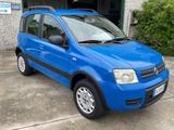 Fiat Panda Panda 1.2 Climbing 4x4 - Fiat Panda: Allradantrieb, Climbing