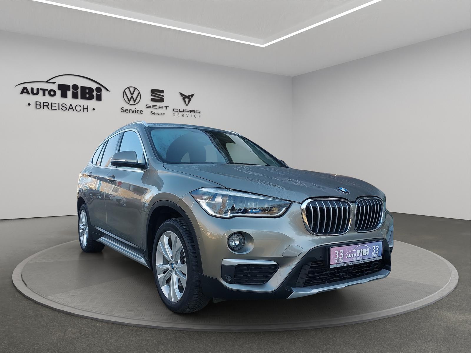 BMW X1 SDrive / 100