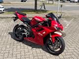 Triumph Daytona 675 / 2.Hand / Inspektion neu - TRIUMPH DAYTONA 675