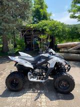 Adly Hurricane  - ADLY QUAD