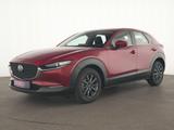 Mazda CX-30 SKYACTIV-G LED|ACC|HeadUp|Navi|Klima - Mazda CX-30 Gebrauchtwagen in Köln