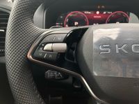 Skoda Karoq - Vorschau Bild 29