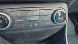 Ford Fiesta 1,1 Trend Trend - Ford Fiesta Gebrauchtwagen in Chemnitz