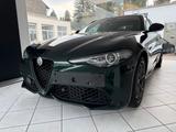 Alfa Romeo Giulia 2.0 Turbo 16V Veloce Q4 - Alfa Romeo: Grün