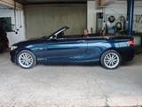 BMW 220i Luxury Line ""Leder Klima PDC 17"LM" - gebrauchte BMW Cabrios