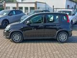 Fiat Panda 1.0 MHEV #CityPaket - Fiat Panda Gebrauchtwagen in Krefeld